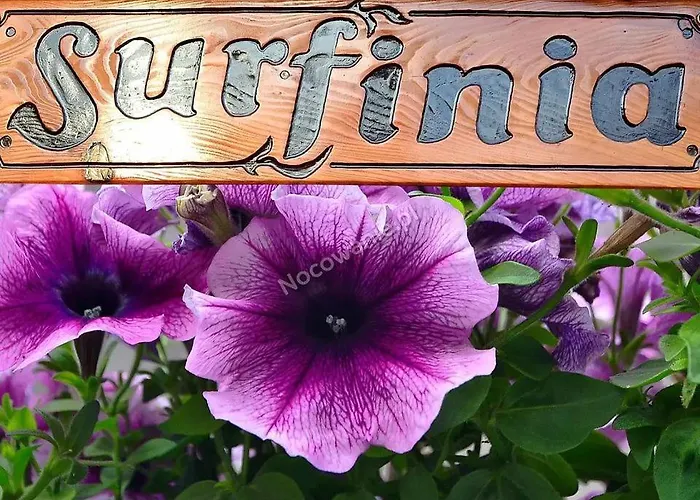 Pokoje Gościnne Surfinia